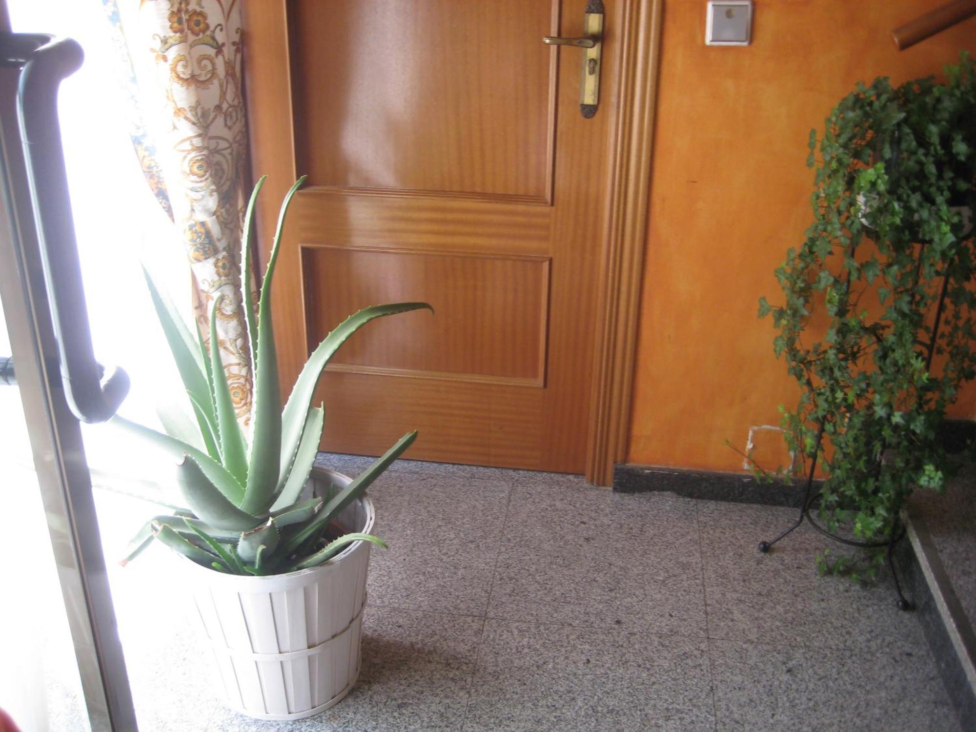 Hostal El Pinar Ávila Exterior photo
